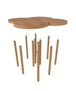 Yonca Orta Sehpa Takımı - Görsel 3