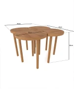 Yonca Orta Sehpa Takımı - Görsel 4